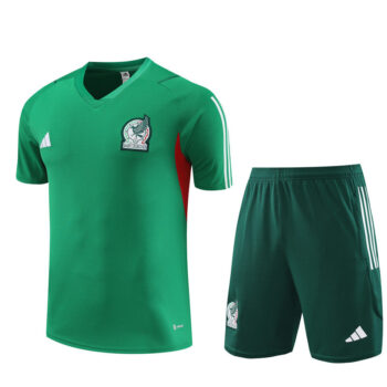 Training Short Mexique